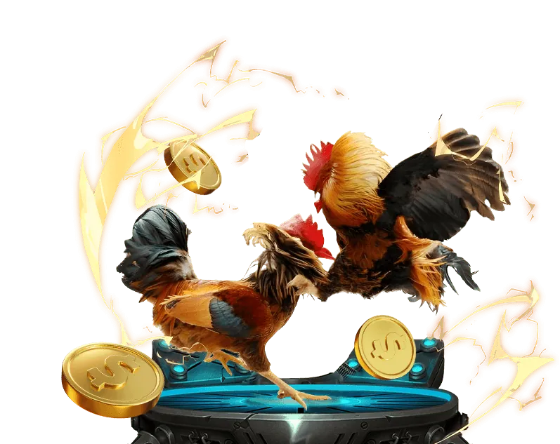 Chứng nhận và giấy phép hoạt động hợp pháp của KU Thể Thao